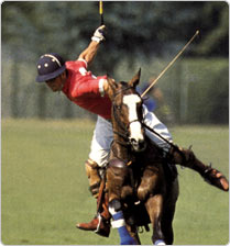 Polo Club England